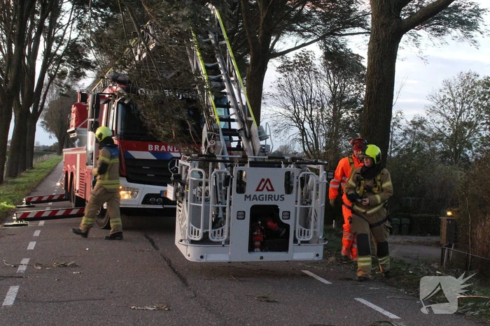 Brandweer ingezet voor afgebroken tak