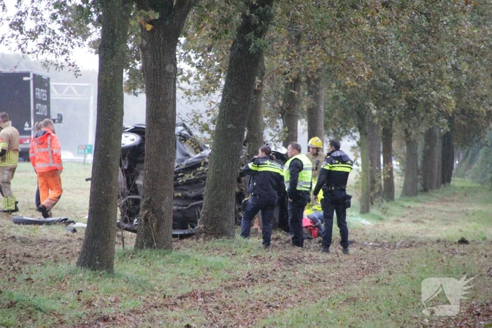 Auto zwaar beschadigd na botsing tegen boom langs snelweg