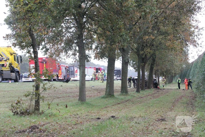 Auto zwaar beschadigd na botsing tegen boom langs snelweg