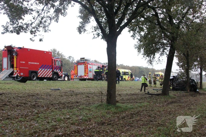 Auto zwaar beschadigd na botsing tegen boom langs snelweg