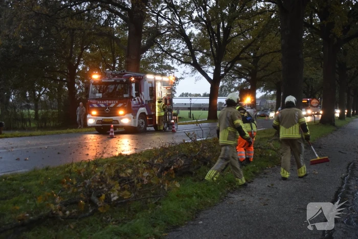 natuur arnhemseweg - n224 25,2 renswoude
