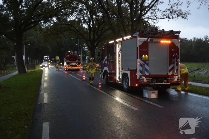 Weg afgesloten door afgebroken tak