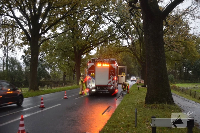 Weg afgesloten door afgebroken tak