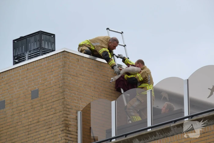 nieuws schaepmanhoeve waddinxveen