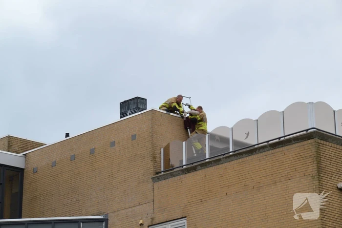 Brandweer haalt gewonde zwaan van dak