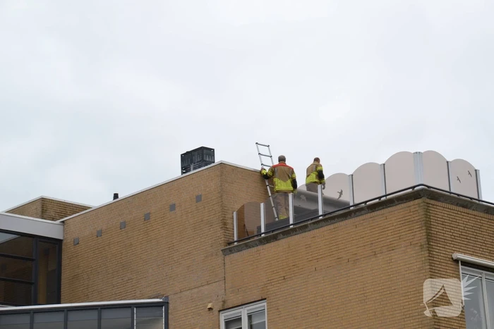 Brandweer haalt gewonde zwaan van dak