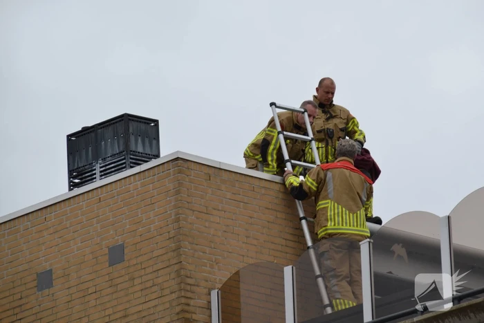 Brandweer haalt gewonde zwaan van dak