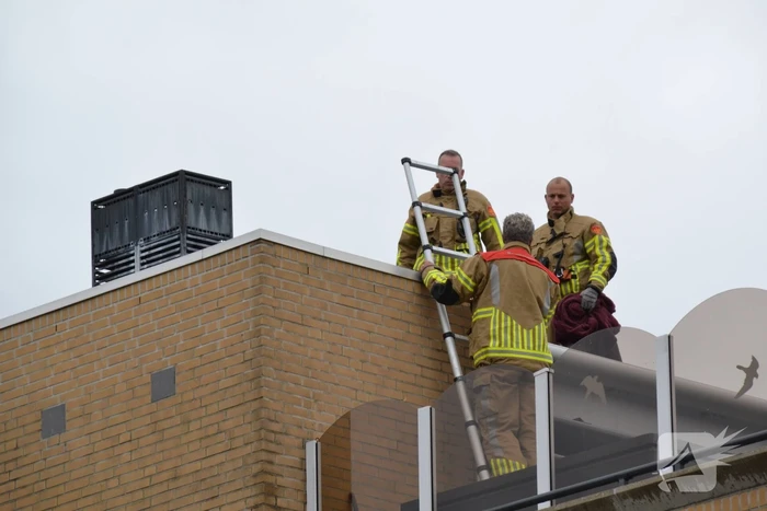 Brandweer haalt gewonde zwaan van dak