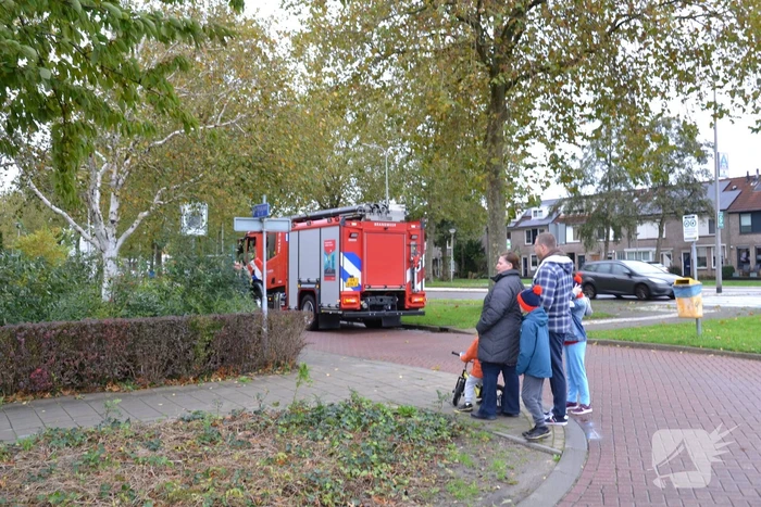 Brandweer haalt gewonde zwaan van dak