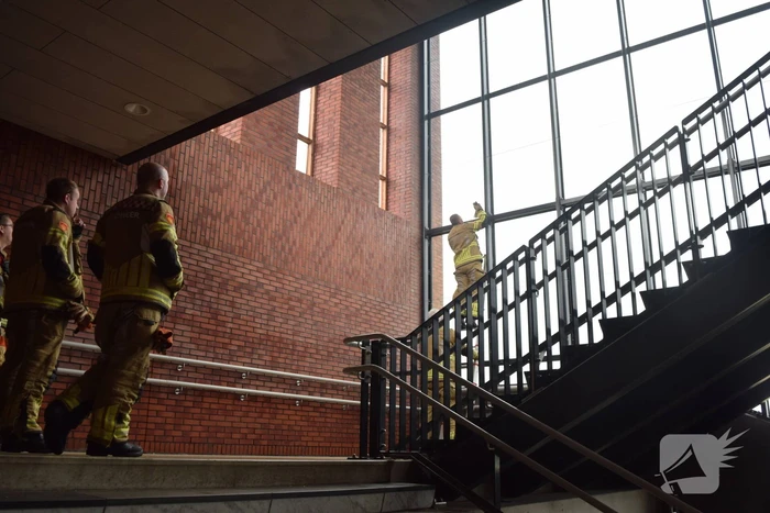 Brandweer vangt valk in station