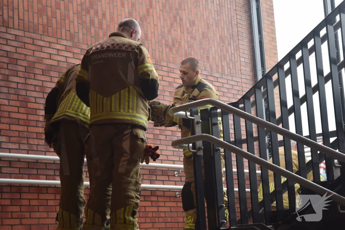 Brandweer vangt valk in station
