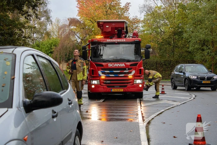 Auto beschadigd bij botsing tegen lantaarnpaal
