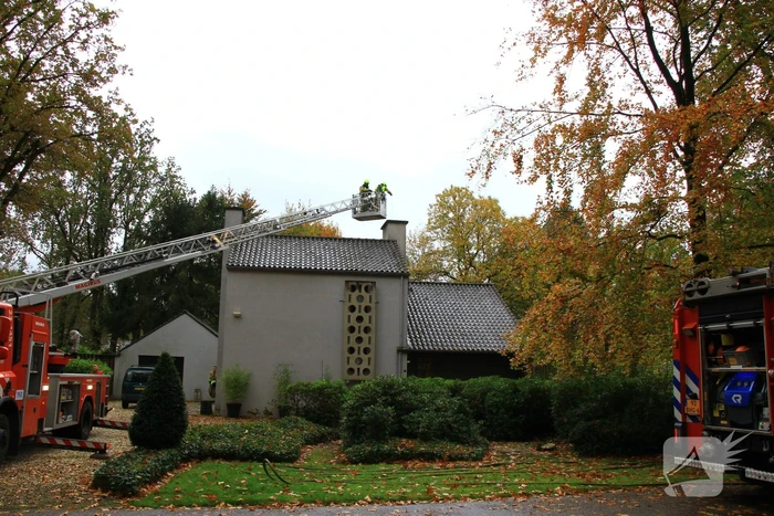brand breugellaan weert