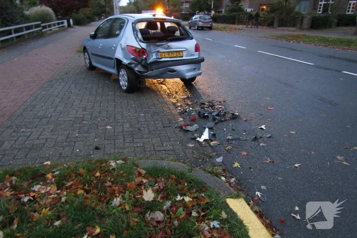 Bestelbus klapt op geparkeerde auto nadat hond op schoot springt