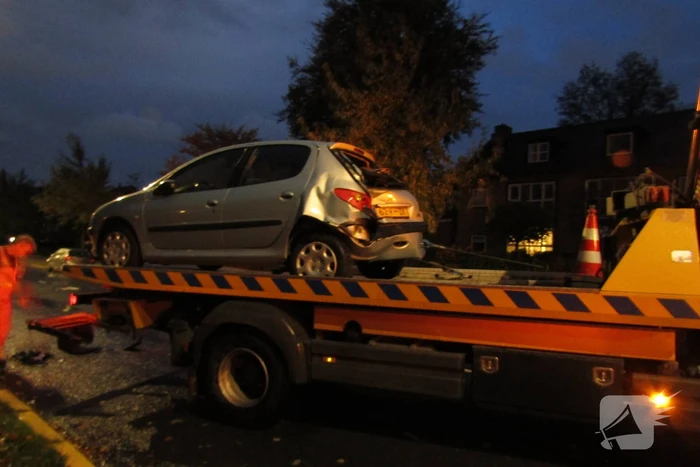 Bestelbus klapt op geparkeerde auto nadat hond op schoot springt