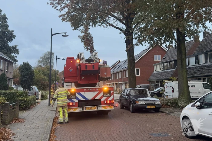 Grote loshangende tak boven weg verwijderd
