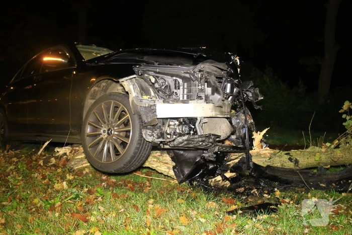 Gewonde nadat auto op boom botst