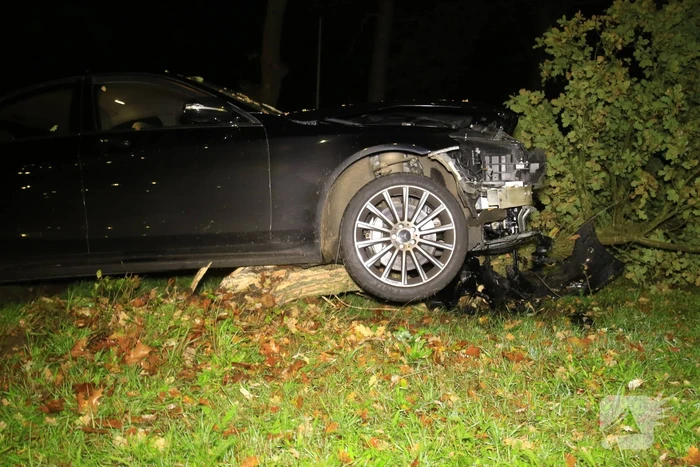 Gewonde nadat auto op boom botst