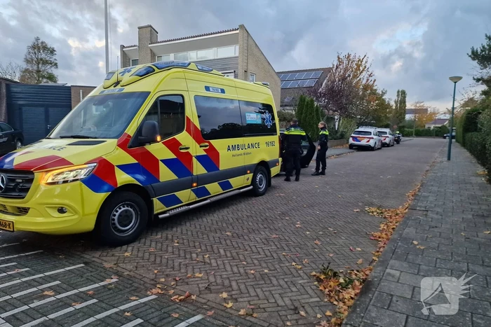nieuws theo van doesburglaan oegstgeest