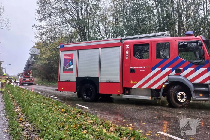 natuur duinweg noordwijk