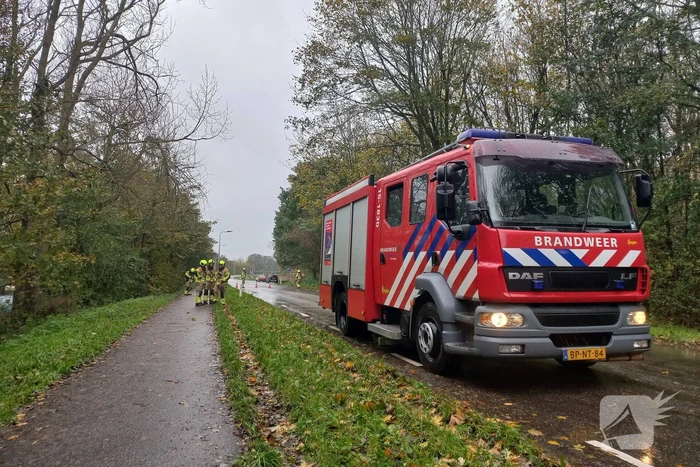 Brandweer verwijdert gevaarlijk hangende tak