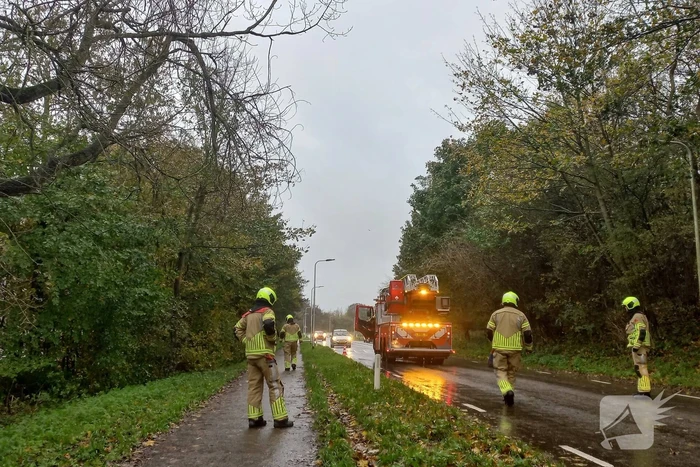 Brandweer verwijdert gevaarlijk hangende tak