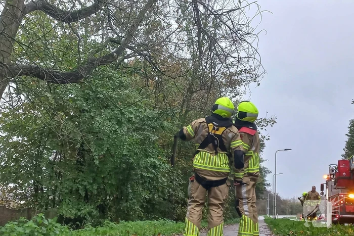 Brandweer verwijdert gevaarlijk hangende tak