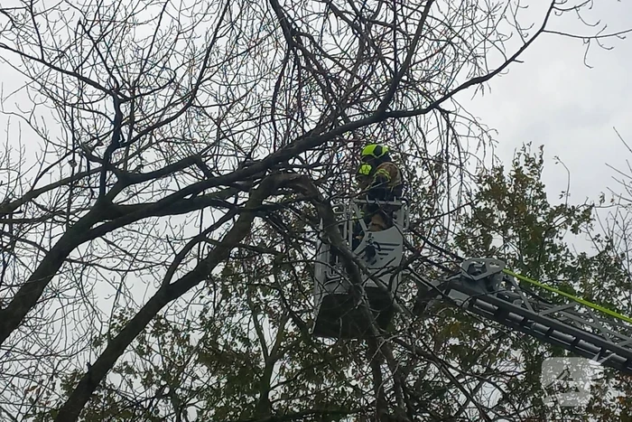 Brandweer verwijdert gevaarlijk hangende tak