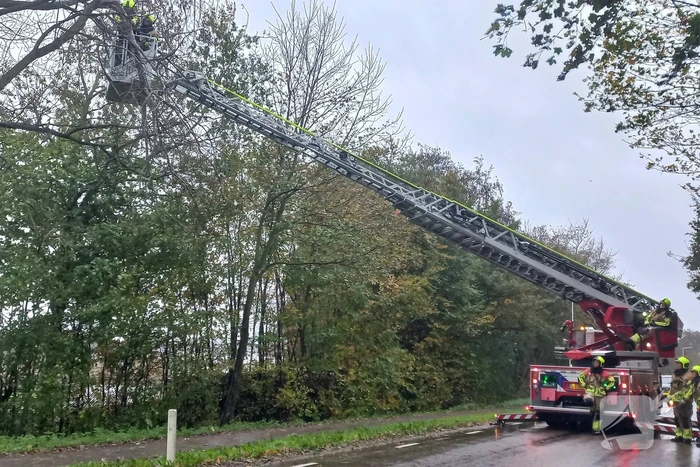 Brandweer verwijdert gevaarlijk hangende tak
