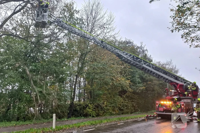 Brandweer verwijdert gevaarlijk hangende tak