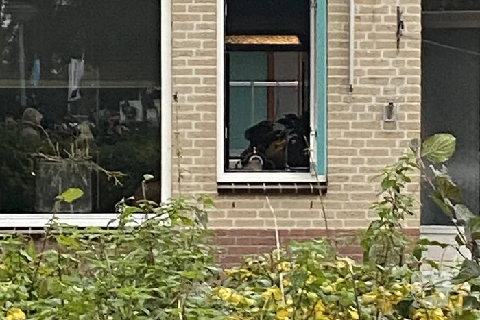 Brandweer heeft keukenbrand snel onder controle