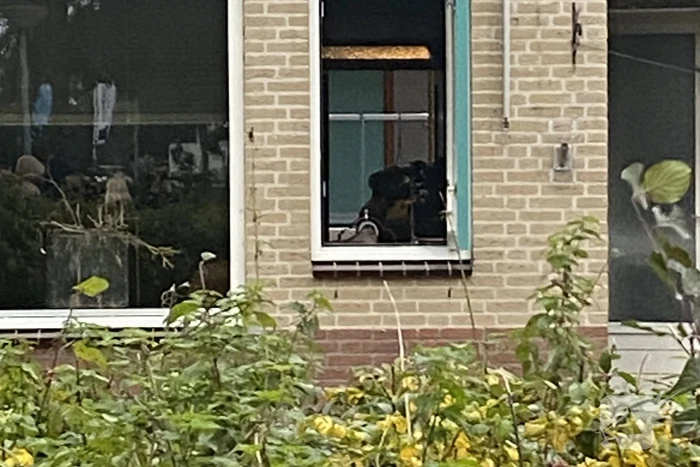 Brandweer heeft keukenbrand snel onder controle