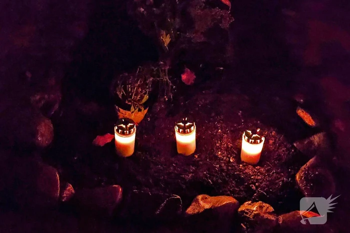 Lichtjesavond druk bezocht