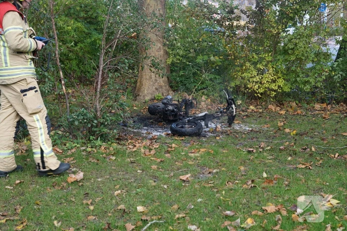 Scooter total-loss door brand