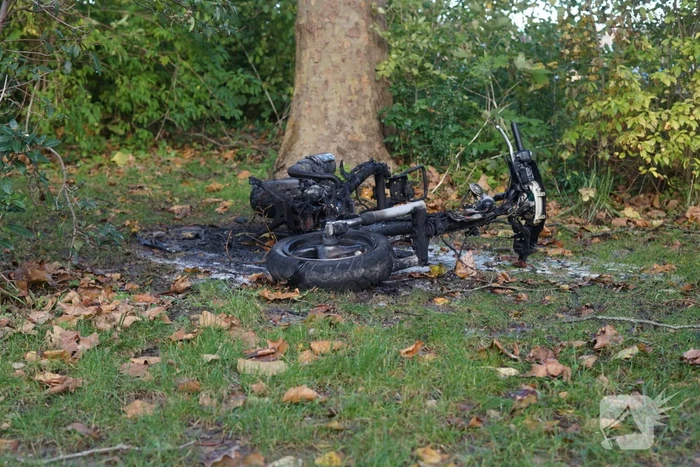 Scooter total-loss door brand