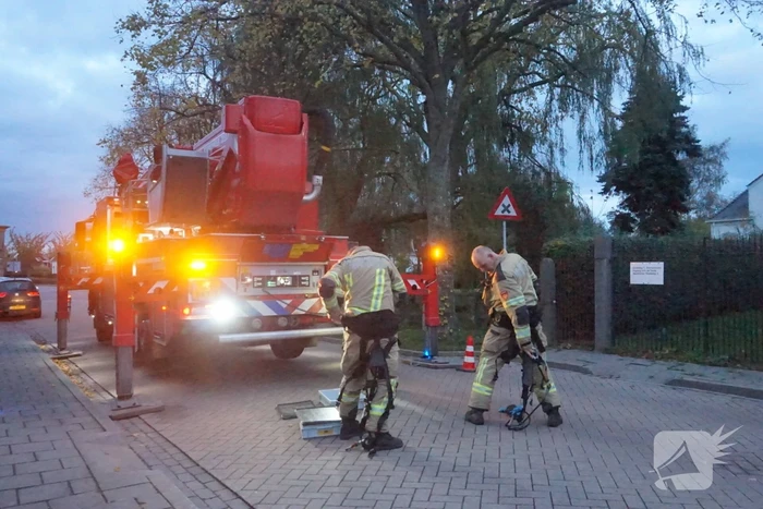 Brandweer verwijdert gevaarlijk hangende tak