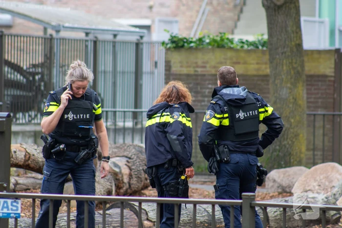 Man met verward gedrag stormt basisschool binnen