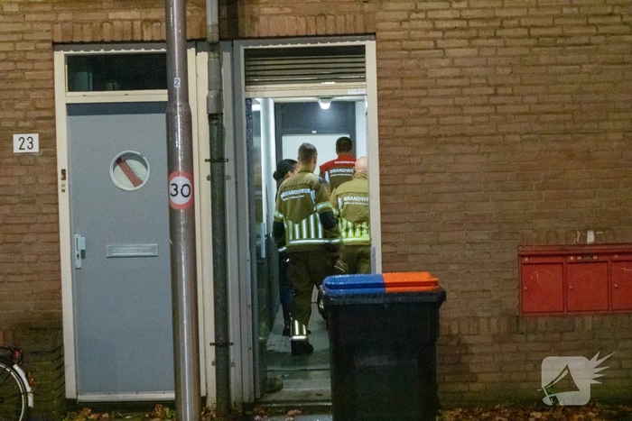 nieuws bergeijkstraat tilburg