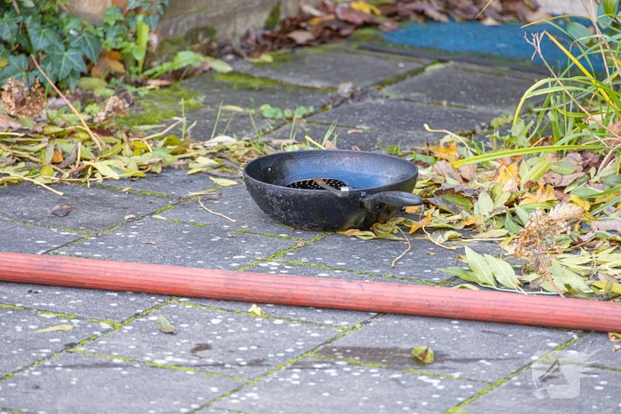 Bewoner uit woning gered tijdens keukenbrand