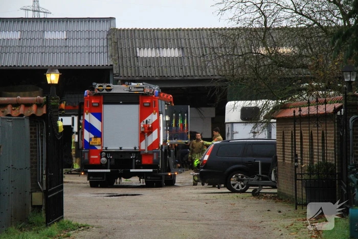 Paard vast in trailer bij manege