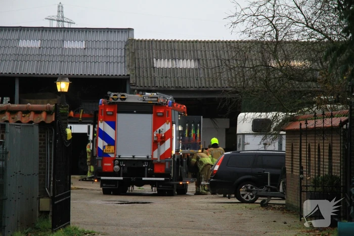 Paard vast in trailer bij manege