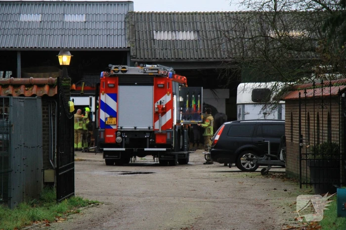 Paard vast in trailer bij manege