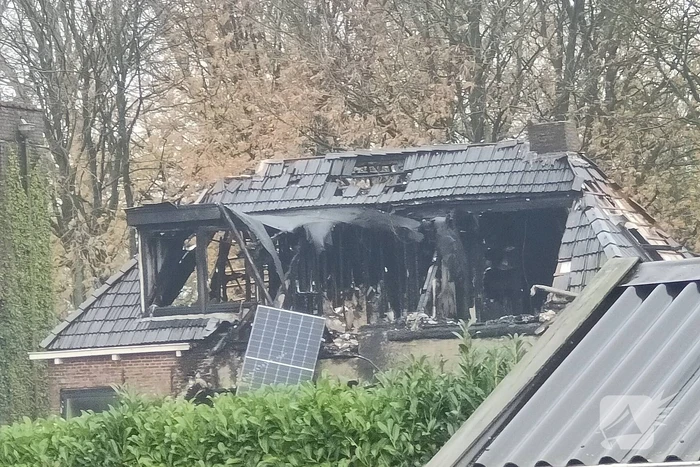 brand galamaleane akkrum