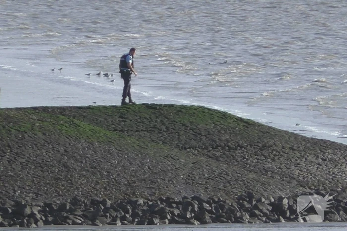 Bijna 1000 kilo cocaïne aangetroffen na verdachte situatie op Westerschelde