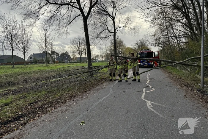 Brandweer zaagt boom in stukken