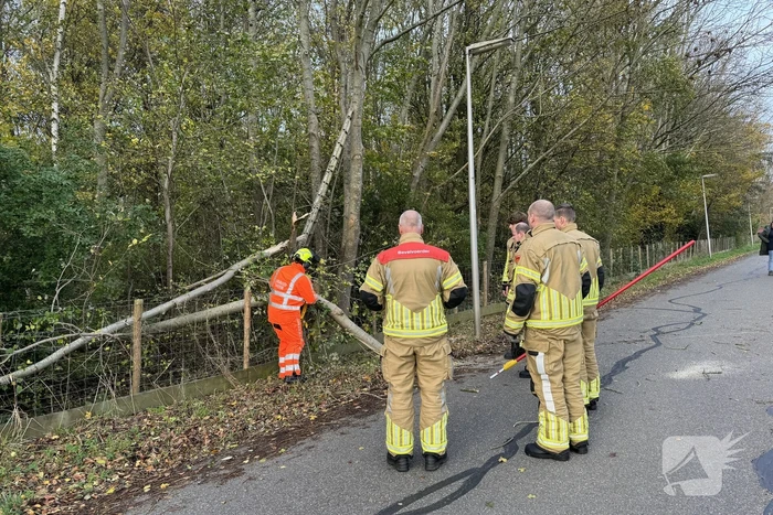 Brandweer zaagt boom in stukken