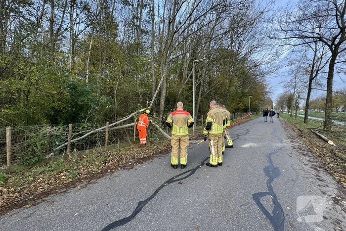 Brandweer zaagt boom in stukken