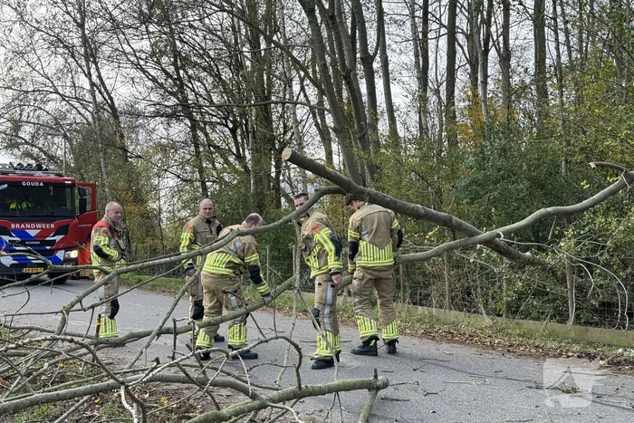 Brandweer zaagt boom in stukken
