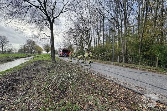 Brandweer zaagt boom in stukken