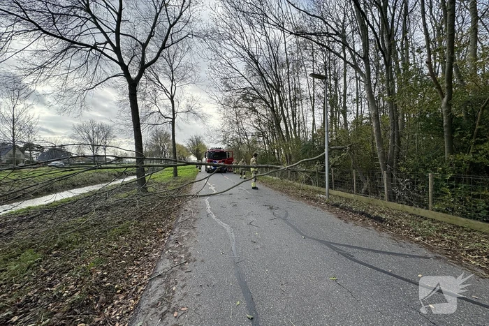 Brandweer zaagt boom in stukken